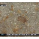 허니룸케어프리미엄 이미지