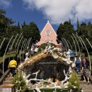 동양바이크 | 노랑풍선 나트랑·달랏 패키지여행 후기 3일차 다딴라폭포, 레일바이크, 니콜라스바리대성당