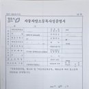 썬모터스 이미지