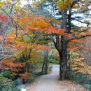 언론기관부설 이미지