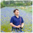 dear paws(디어포즈) | 규수당 문래점 디어데이스냅 본식스냅 계약 후기(디어데이스냅 특징/상품/비용)