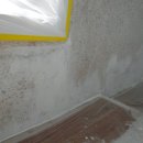 세영바이오 이미지