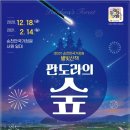 판도라의 숲 이미지