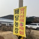 해담농장 | 수원 근교 딸기체험 해담농장🍓