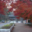 석남로 | 울주 여행 석남사 단풍 명소를 찾아서