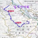 김용권농장 Daum카페