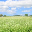 길정해농장 이미지