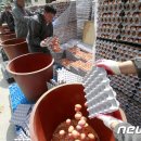 상보농장 이미지