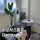 리오시스칼프