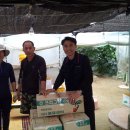 박경자농장 이미지