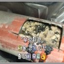 배관천왕