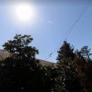 표선리-19 이미지