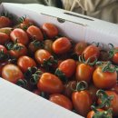 민수농장 이미지