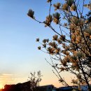 교하중앙공원 이미지