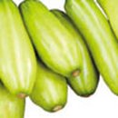 다라미자운영마을 이미지