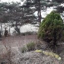 호수부동산중개사무소 이미지
