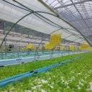 자연한식 이미지