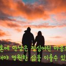 만남 Daum카페