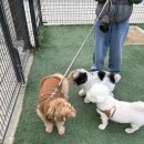 권일호한의원 이미지