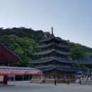 법주사 - 1597 | 법주사