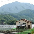 하동단체가족펜션 율이네 팜스테이 이미지