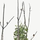 낙동강변22 이미지