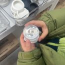 2335 | 대구 도마뱀 관심 있다면 꼭 가볼 곳, 대구 파충류삽 크레아트 후기.