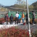 부산농장 이미지