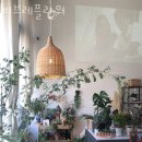 비브레 이미지