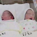 청주 엠에스여성의원 쌍둥이임신 37주 5일차 제왕절개(전신마취) 출산 당일 후기‼️