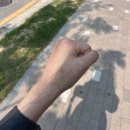 대일유외과의원 이미지