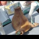 불암체육공원 이미지