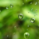 건강100세약국 이미지