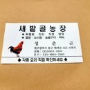 매여로 네이버블로그