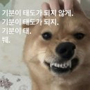 수영가 돼지국밥 이미지