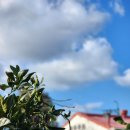 연원농장 이미지