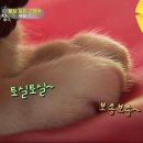 상귀농장