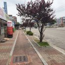 군산현대이비인후과의원 이미지