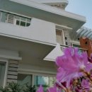 별밤하우스 이미지