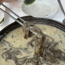 가나칼국수 | 속초 막국수 맛집 추천 : 탑골막국수 (들기름막국수, 수육, 감자전, 들깨칼국수) 후기