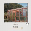 주연농장 | 남양주 주연팜 후기 올해도 예약한 이유