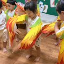 🎶🦜앵무새 손유희와 깃털 와르르🦜🎶 이미지