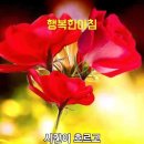 풀꽃