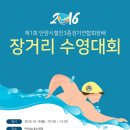 제1회 안양시철인3종경기 연합회장배 장거리 수영대회 이미지