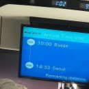 이박삼일 룰루랄라 더비랜드
