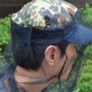 건강생활다모아