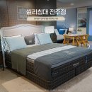 씰리침대전주점 | 씰리침대 전주점 방문 추천하는 이유 엑스퀴짓 하이랜드와 화이트멀버리 체험 후기