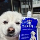 뜨란펫 네이버블로그
