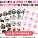 더블에이플랫폼