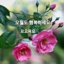 행복한 하루 이미지
